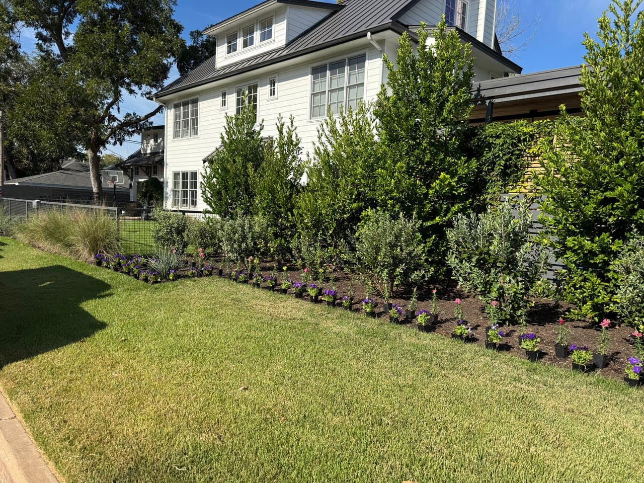 Property & Pest Management