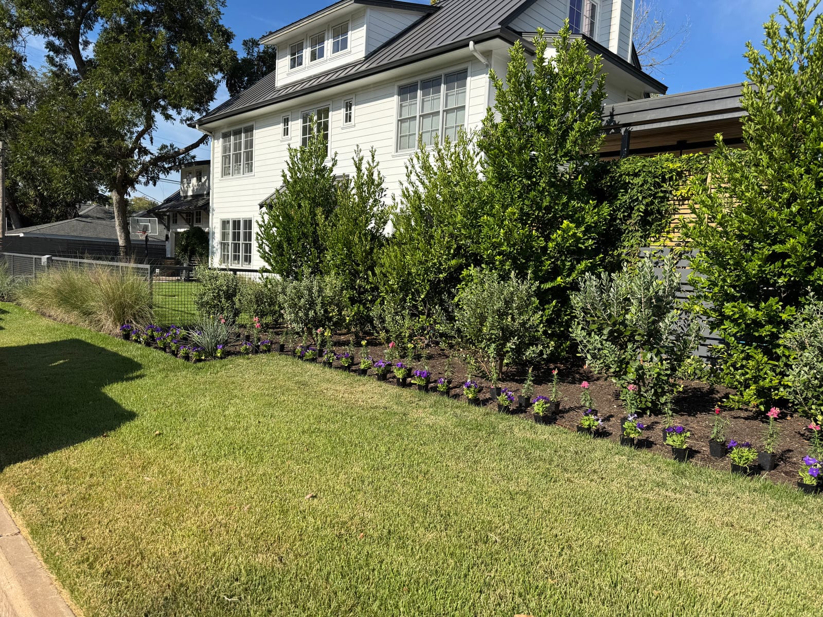 Property & Pest Management services by Outdoor Renovations in Austin, TX