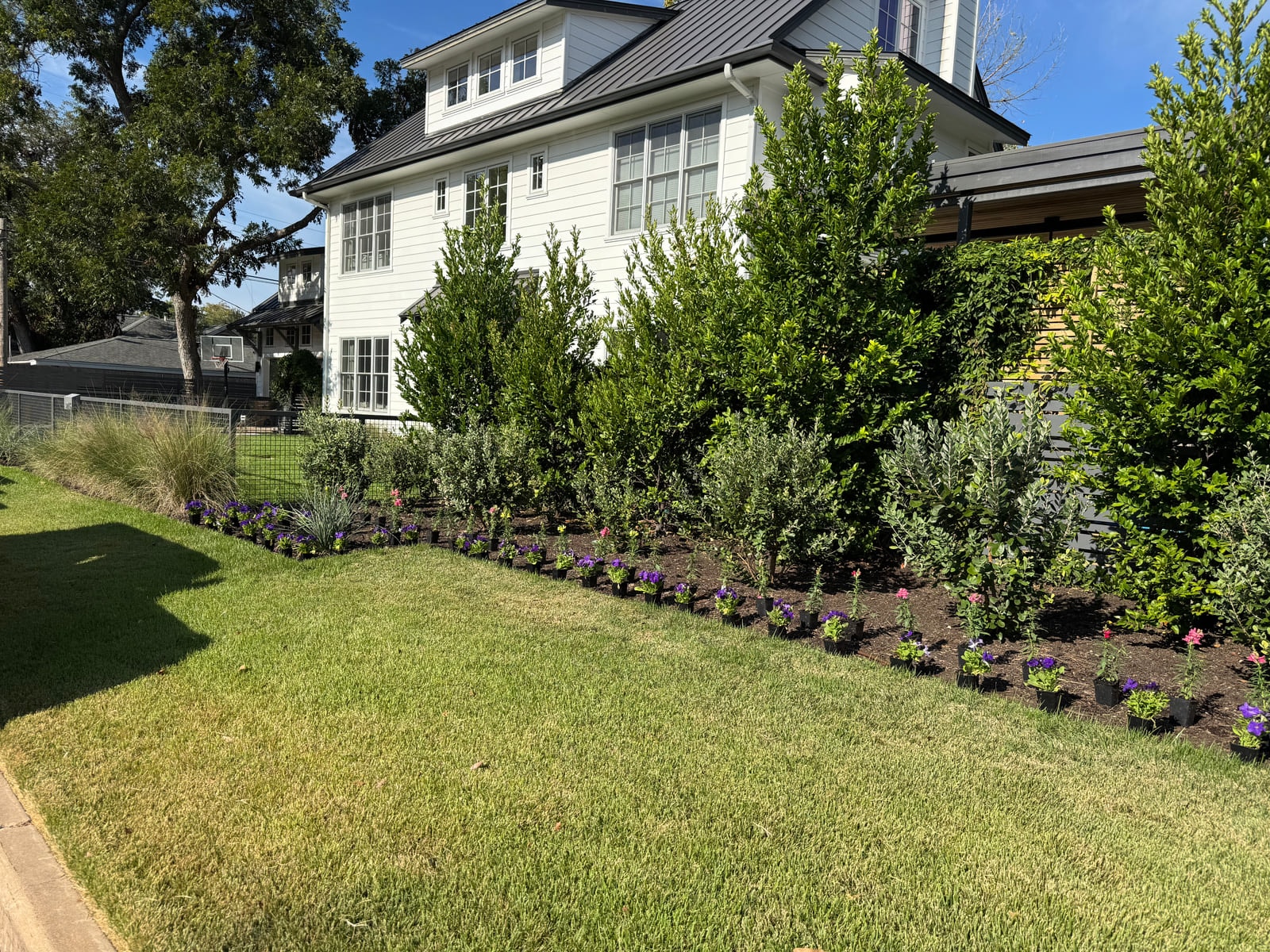 Property & Pest Management project in Steiner Ranch, Texas