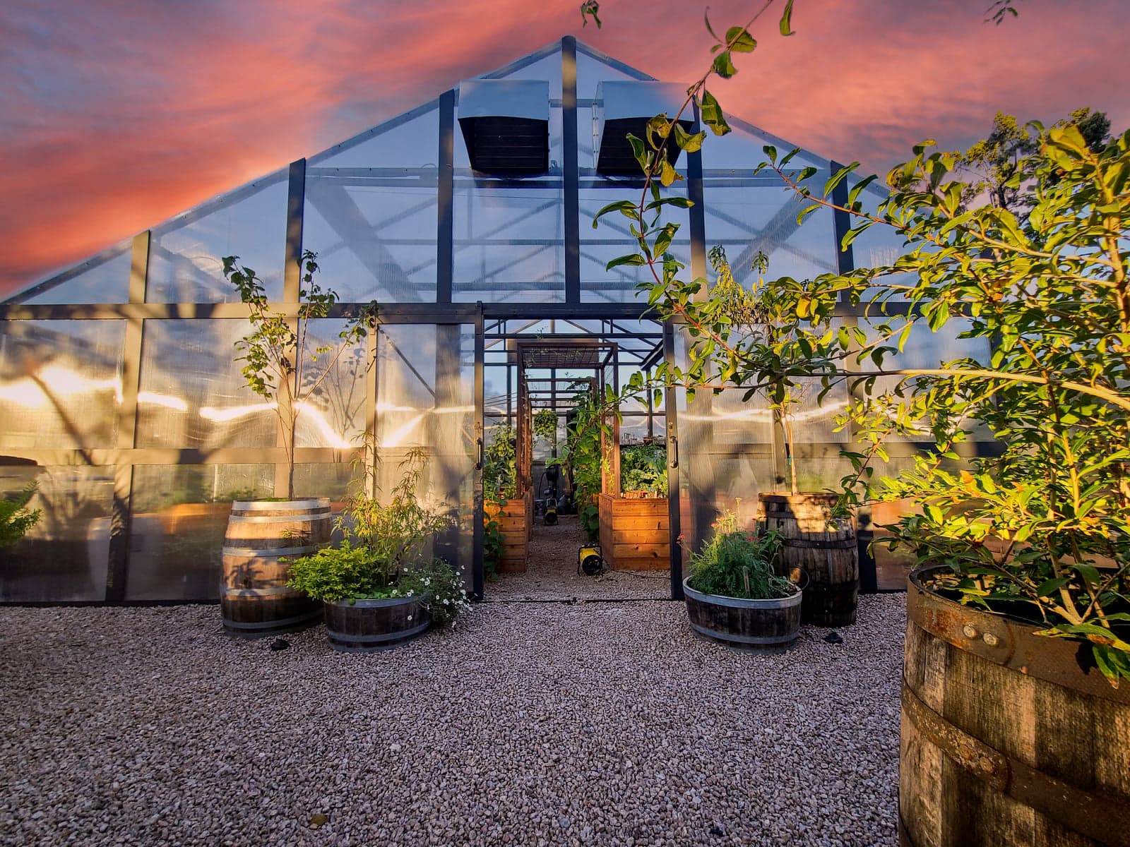 Premium landscape project by Outdoor Renovations in Austin