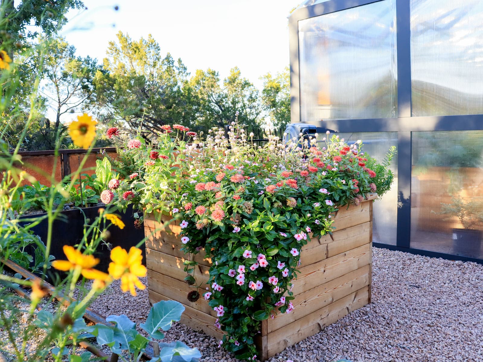 Softscaping & Planting