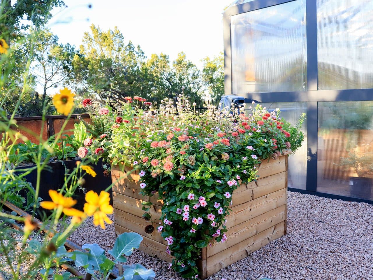 Softscaping & Planting